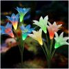 Home Courtyard Decoration Solar Flower Lights Garden Outdoor Solar Flower Light - 图片 3