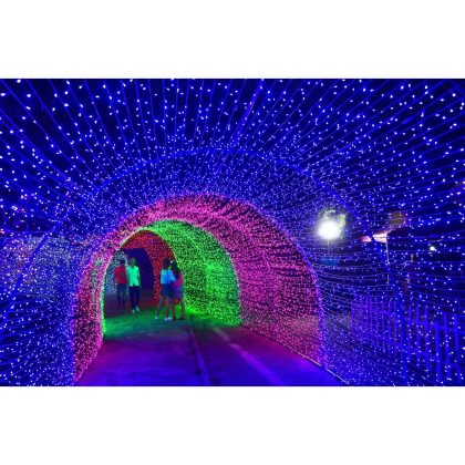 Outdoor 3D Tunnel Lights Street Decoration For Holidays