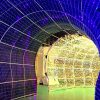 Festival Decoration Arch Lights Indoor And Outdoor Corridor Arched RGB Led Tunnel Light - 图片 7
