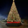 2025 Year New Product Large Outdoor Waterproof PVC Christmas Tree with LED Lights Decorated Big Christmas Tree - 图片 4