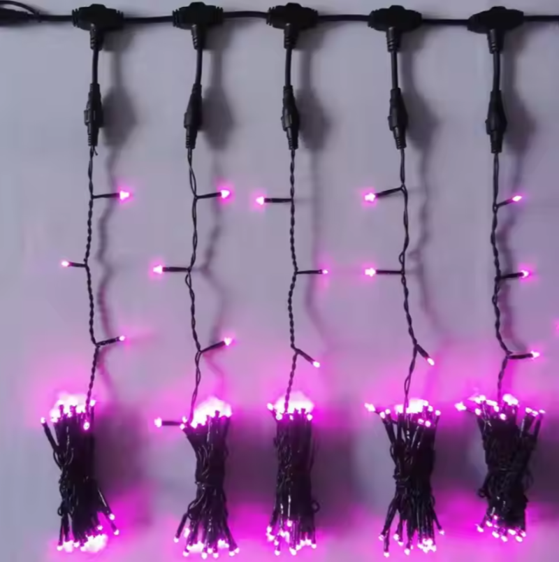 2025 New Prodcut Event Decorations Holiday LED Lights Premium Outdoor Christmas LED Lights - 图片 2